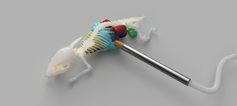 4-3D модель фантома мыши с дозиметром